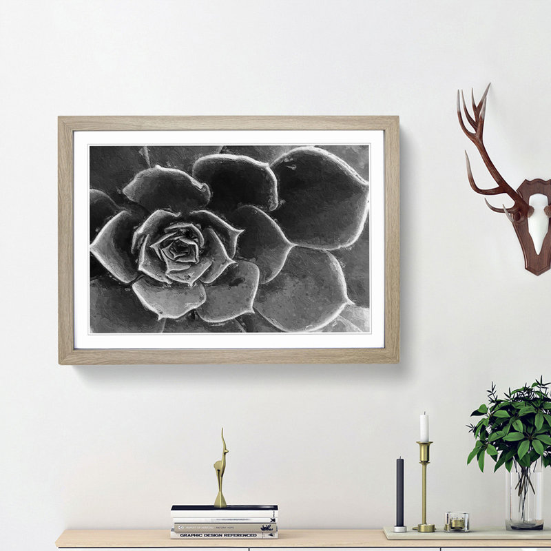 Succulent Plant - Picture Frame Painting Print, 27cm H x 36cm W x 2cm D, Oak Framed