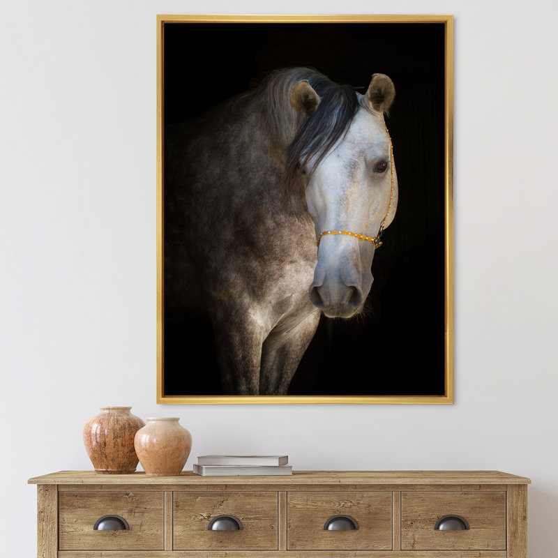 Portrait d'un cheval blanc - Photographie sur toile, H 20 po x l 12 po x P 1po, Cadre flottant doré