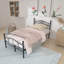 Lit plateforme Mckenzie-John-536895088-543794593