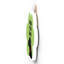 Gruia Wall Decor