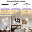1 - Light Gold Novelty Pendant