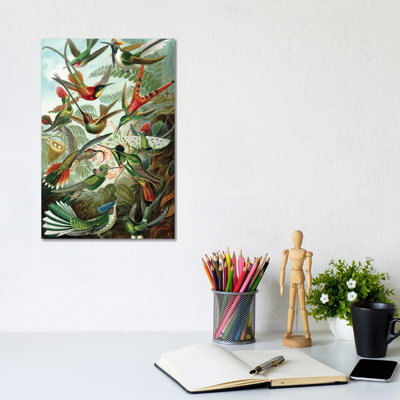 Haeckel Hummingbirds 1 Piece Wrapped Canvas Wall Art