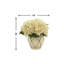 Hydrangea Arrangement in Pot