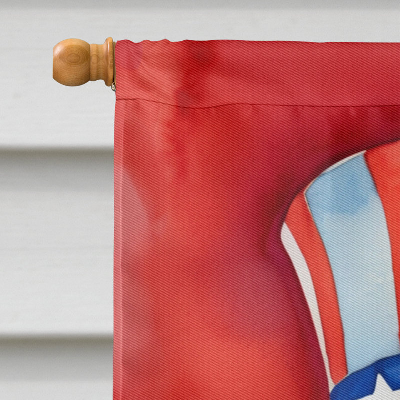 Drapeau patriotique de la maison américaine, Terrier irlandais