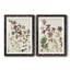 Pressed Flower Arrangement III - Ensemble de 2 reproductions d'art-1094664188-1094664179-1103337109