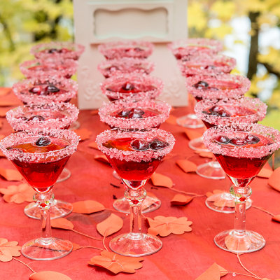 Shavano 3oz. Martini Glass Set