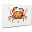 Crab by Albert I - Wrapped Canvas-55371926