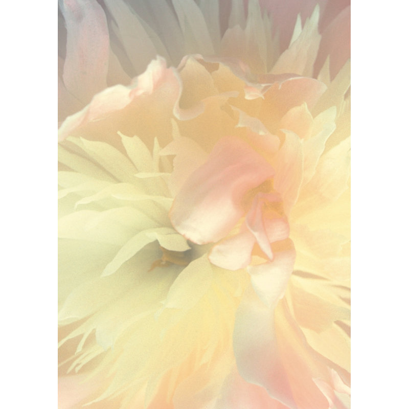 Wickford 2.6m x 1.86m Matte Wallpaper Roll