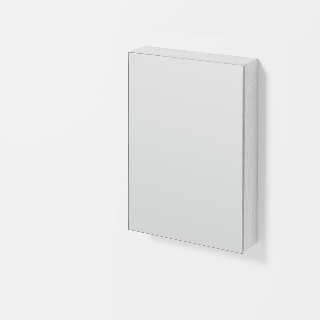 42cm x 60cm Surface Mount Mirror Cabinet