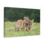 No Frame Print on Canvas