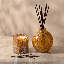 Star Jasmine Reed Diffuser-1525918559-1525918553