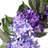 Fresh (Live) Hydrangea Polyester 22'' Wreath