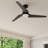 52'' Ceiling Fan with LED Lights-140914822