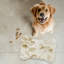 Minimalist Leaf Patterns - 1 Piece Bone Shape Feeding Mat