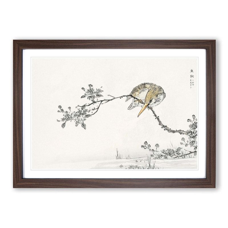 Pied Kingfisher by Numata Kashu - Picture Frame Painting Print, Walnut Framed, 48cm H x 65cm W x 2cm D