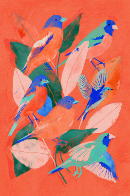 Birdgarden Print, Size, Format, Frame Color