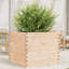 Amiela Planter Box-918828452-918828502