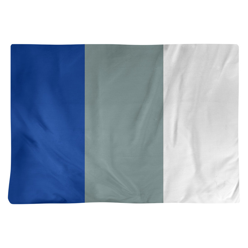 Récapitulatif 18" à rayures de football Dallas, Bleu pâle/gris