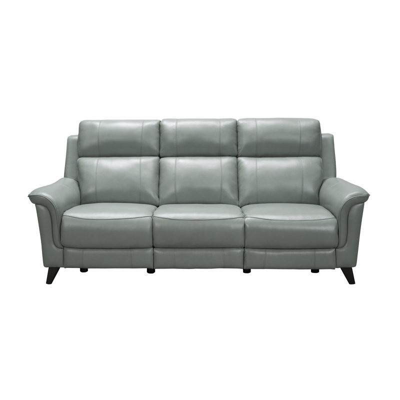 Neabsco Upholstered 84.3'' Reclining Sofa, Lorenzo Mint Leather Match