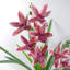 Plastic, Polyethylene (PE) Artificial Arrangement in Pot