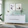 Maysey 63'' Wide 2 -Drawer File Cabinet