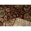Wool Oriental Area Rug in Cream