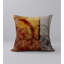 Housse de coussin carrée/insert-1850761740