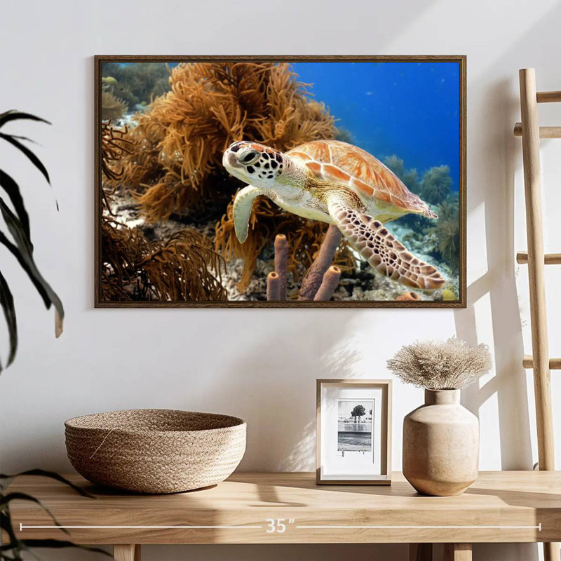 Tortue de récif, 25 po x 17 po, Cadre flottant noyer