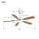 Lieschen 52'' Ceiling Fan with LED Lights