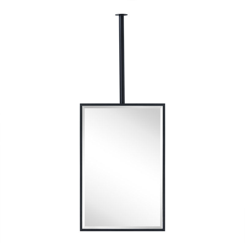 Seren 30'' H X 20'' W Ceiling Mount Rectangle Metal Wall Mirror