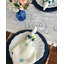 Jubilant Blue/Teal NR P/4-2001294771