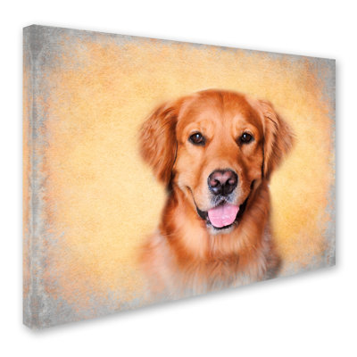 Vidur 'Young Golden Retriever Portrait' Graphic Art Print on Wrapped Canvas