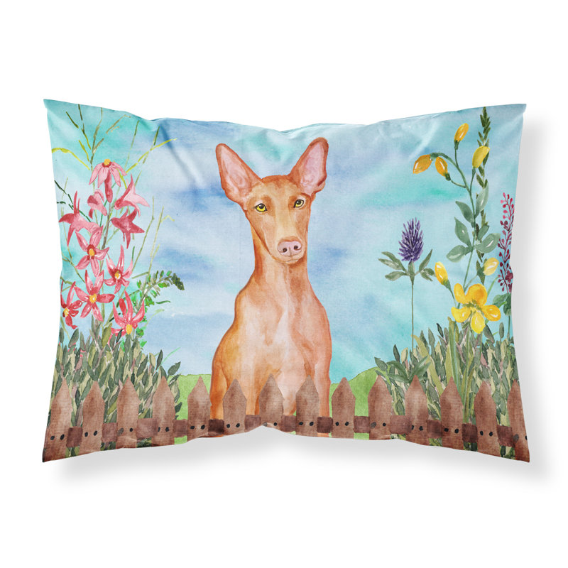 Taie d’oreiller spring, Chien du pharaon
