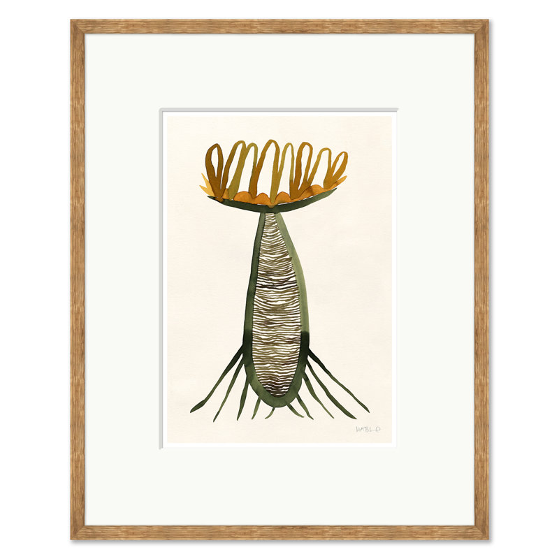 Botanical Studies Print by Susan Hable