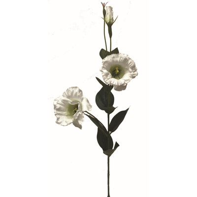 Tige de lisianthus