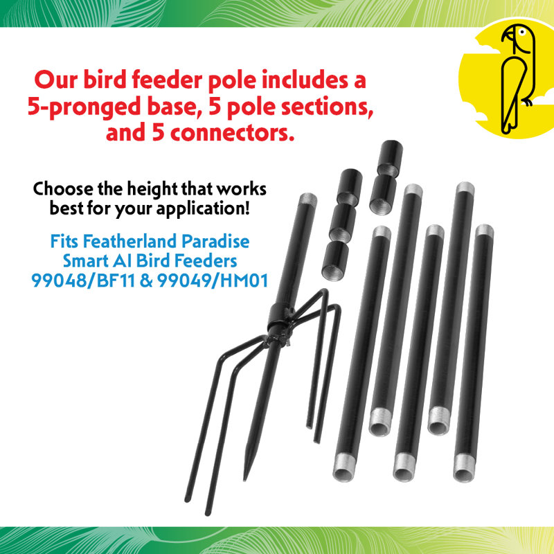 Bird Feeder Pole Mount