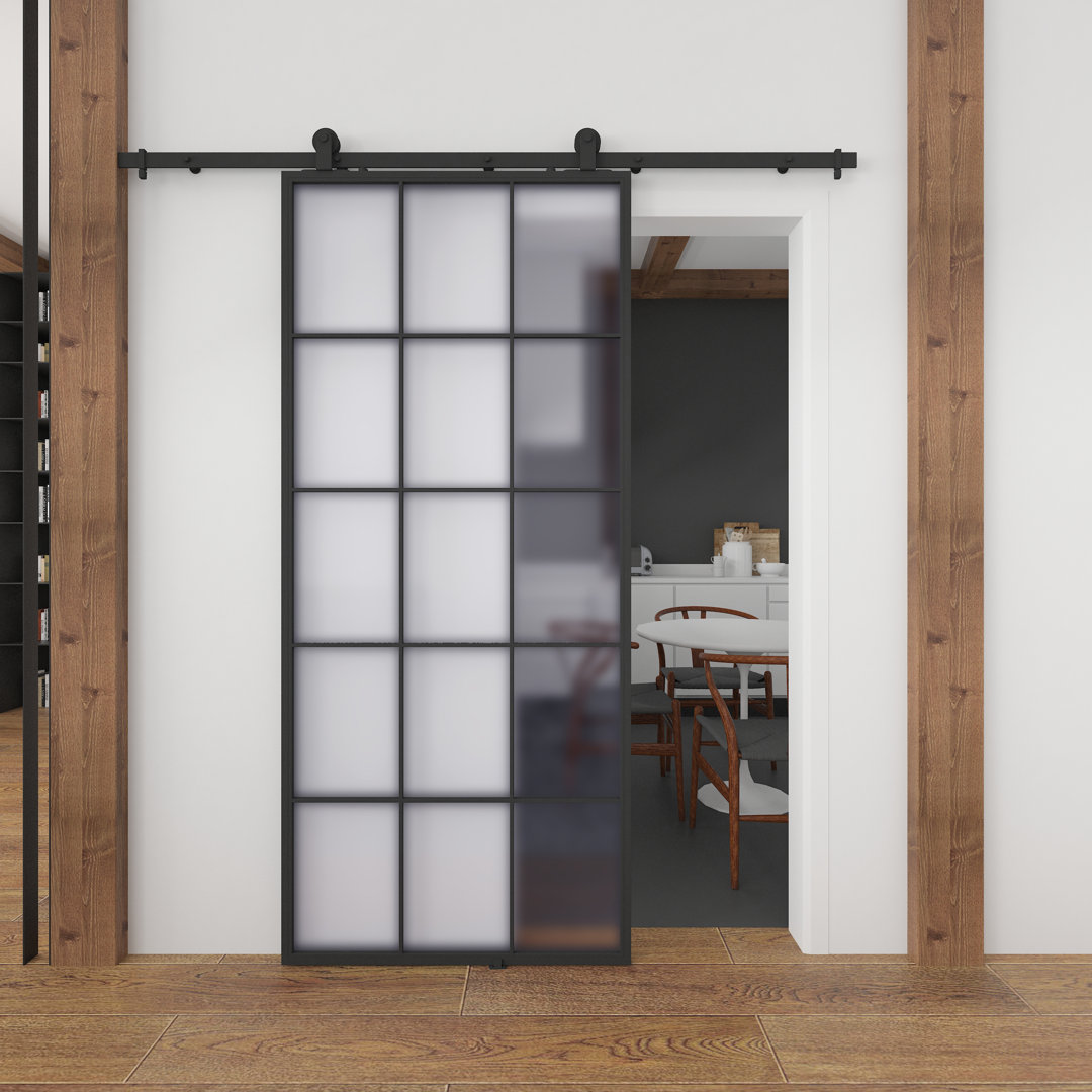 Metal and Glass Metro Barn Door Renin 