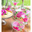 Pivoine 7 oz. Verre cosmos