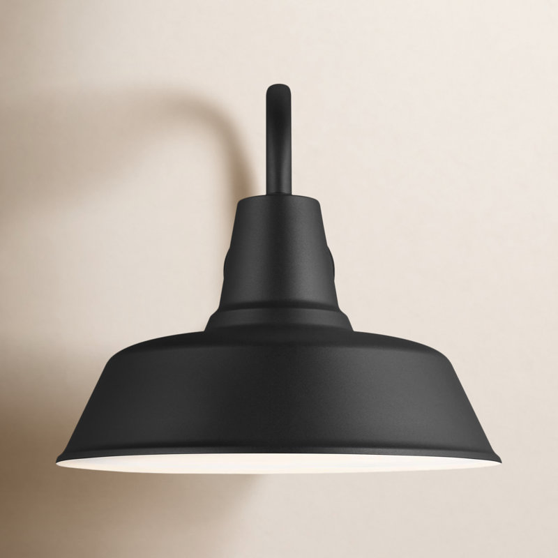 Luminaire de grange d'extérieur Blakeston, H 15 po x l 16 po x P 16 po, Noir, Oui