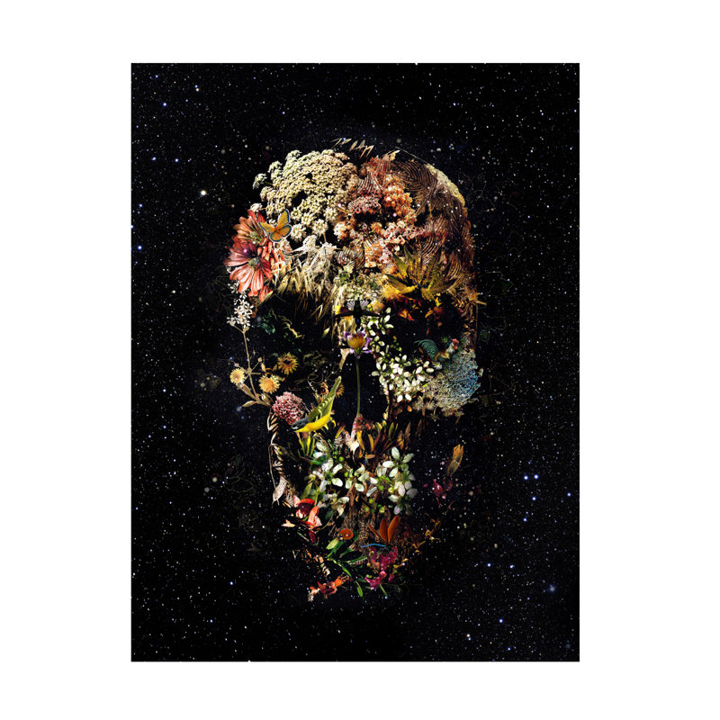 Ali Gulec Smyrna Skull Canvas Art, 14" H x 19" W