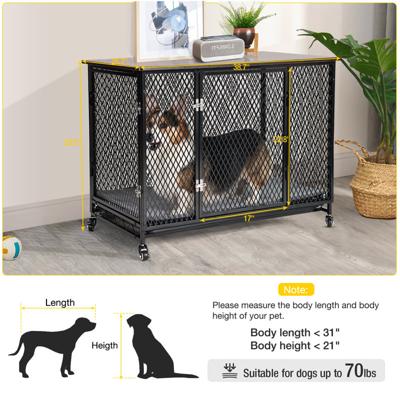 Niche pour chien Tucker Murphy Pet ™, Grand (41 à 70 lb)