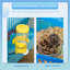 Hamster Cage