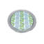 Ensemble de sous-verres Mariposa
