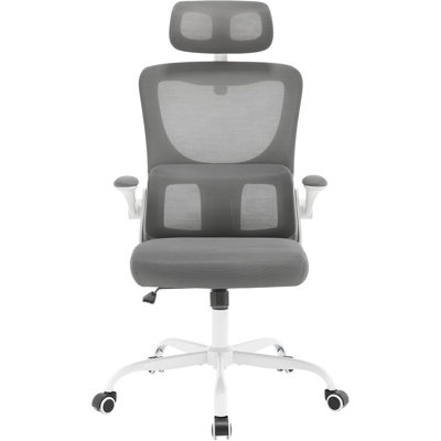 Geralde Mesh Office Chair with Headrest
