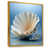 Gold Floater Framed