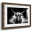 Étude de photographie Highland-608549735-608549720