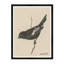Lark Bunting Print