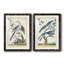 Pastel Birds V Premium encadré mat - prêt à être accroché-239544690-239544695