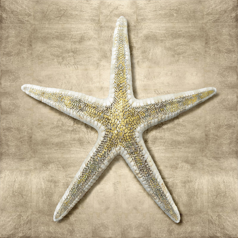 Golden Sea Life I by Caroline Kelly - Wrapped Canvas Print, 30cm H x 30cm W