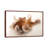 A Common Octopus At Gulf Specimen Marine Lab And Aquarium by Joel Sartore - Gallery-Wrapped Canvas Giclée on Canvas-719952474-719952469